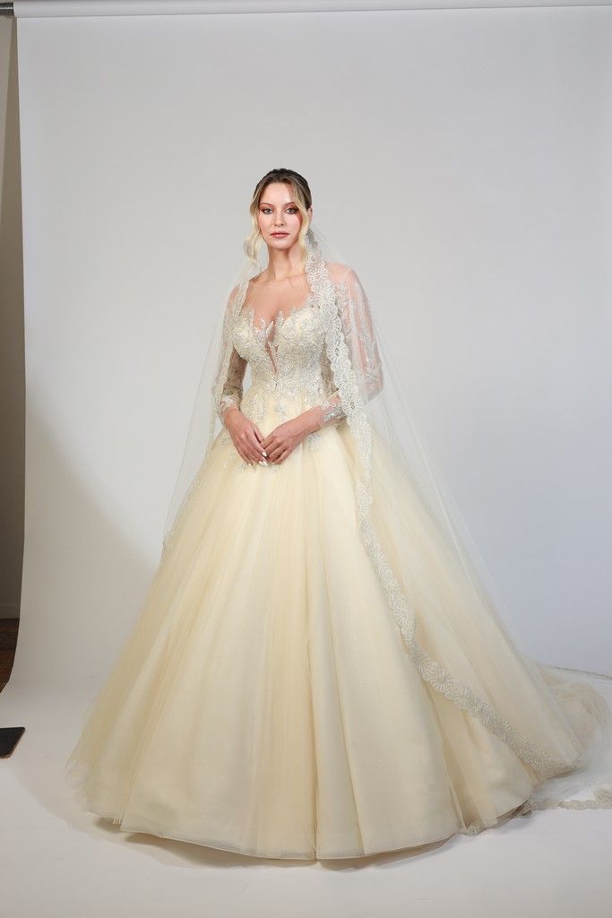 Princess wedding dress with beaded bodice and embroidered sheer cape sleeves — Oksana Dorenska